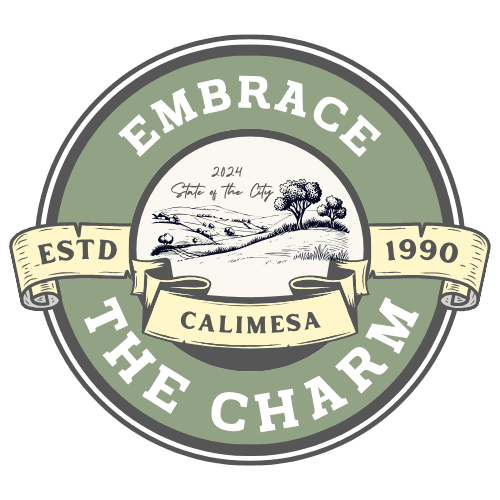 embrace Logo Option 1 Transparent